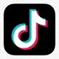TikTok icon